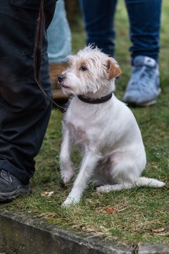 Bild 689 - Latuff 2016 Umzug